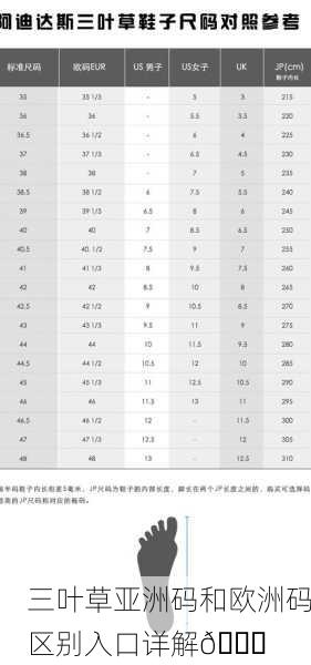 三叶草亚洲码和欧洲码区别入口详解📏