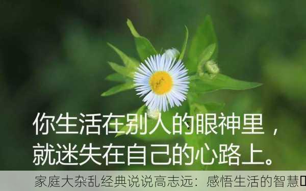 家庭大杂乱经典说说高志远：感悟生活的智慧✨