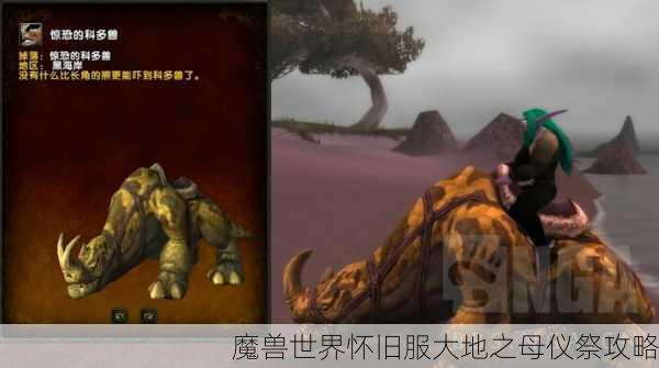 魔兽世界怀旧服大地之母仪祭攻略