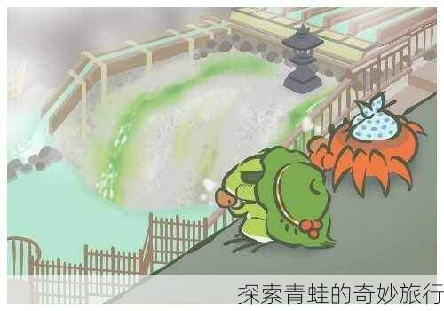 探索青蛙的奇妙旅行
