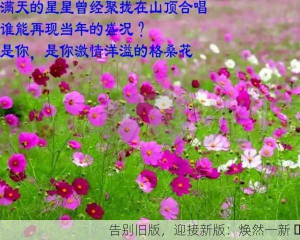 告别旧版，迎接新版：焕然一新 ✨