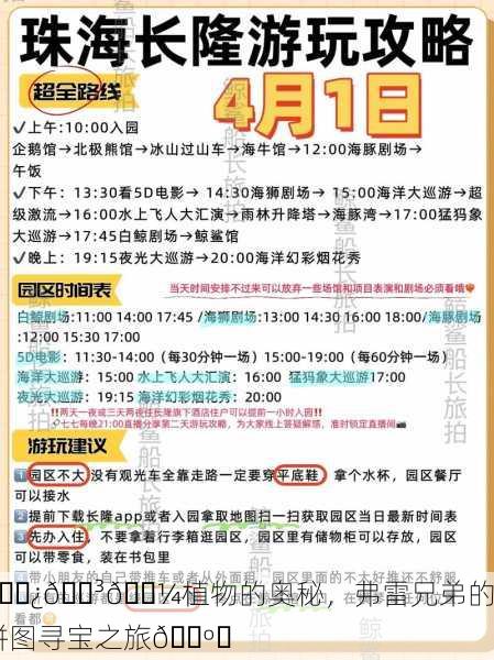 🌿🌳🌼植物的奥秘，弗雷兄弟的拼图寻宝之旅🗺️
