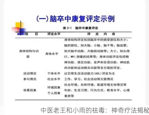 中医老王和小雨的祛毒：神奇疗法揭秘