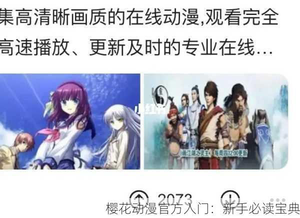 樱花动漫官方入门：新手必读宝典