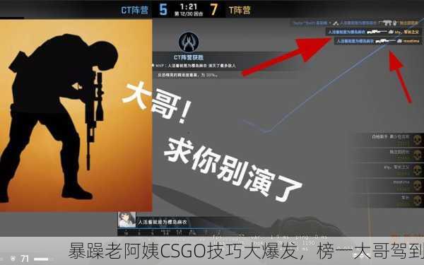 暴躁老阿姨CSGO技巧大爆发，榜一大哥驾到