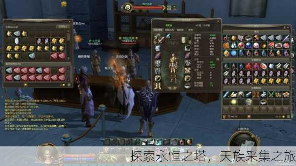 探索永恒之塔，天族采集之旅
