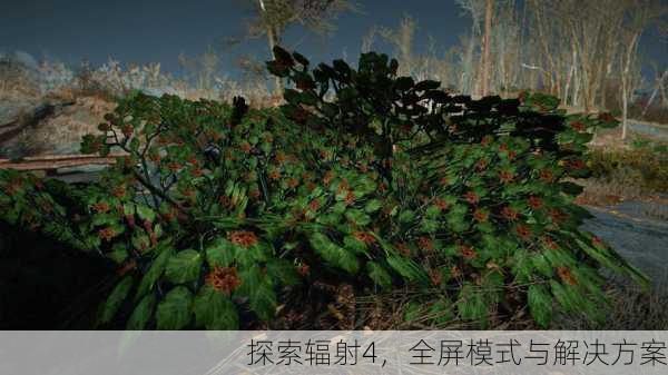 探索辐射4，全屏模式与解决方案