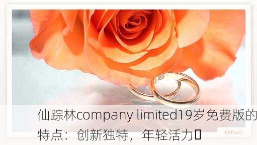 仙踪林company limited19岁免费版的特点：创新独特，年轻活力✨