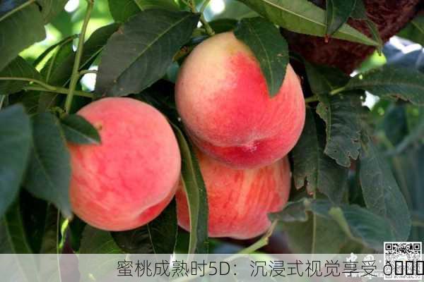 蜜桃成熟时5D：沉浸式视觉享受 🍑