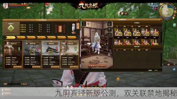 九阴真经新版公测，双关联禁地揭秘