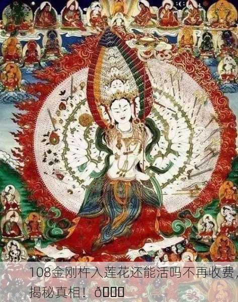 108金刚杵入莲花还能活吗不再收费，揭秘真相！🔍
