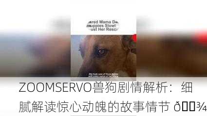 ZOOMSERVO兽狗剧情解析：细腻解读惊心动魄的故事情节 🐾