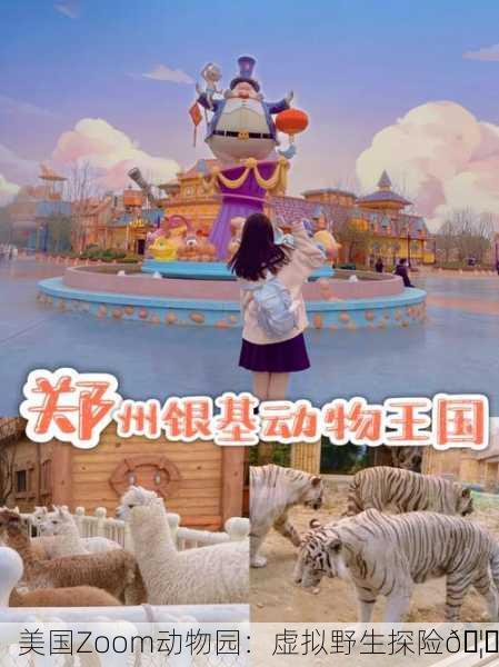 美国Zoom动物园：虚拟野生探险🦁