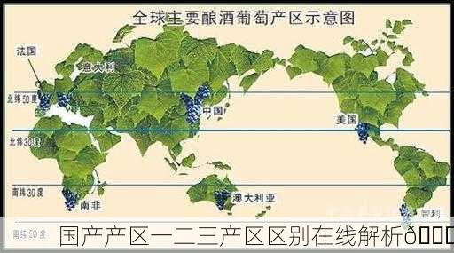 国产产区一二三产区区别在线解析🌟