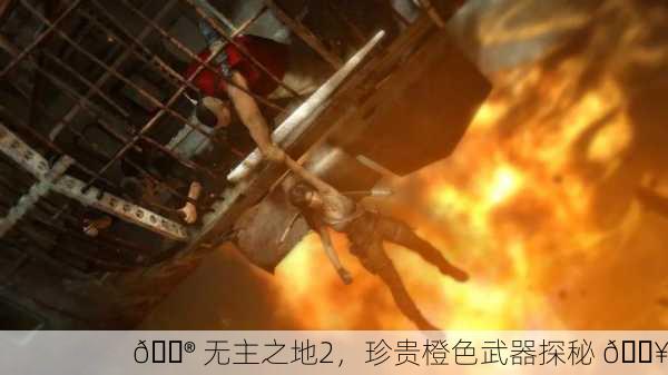 🎮 无主之地2，珍贵橙色武器探秘 🔥