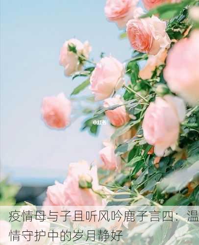 疫情母与子且听风吟鹿子言四：温情守护中的岁月静好