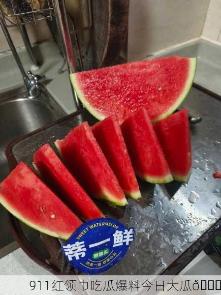 911红领巾吃瓜爆料今日大瓜🍉