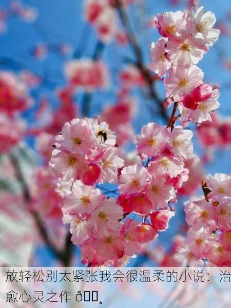 放轻松别太紧张我会很温柔的小说：治愈心灵之作 🌸