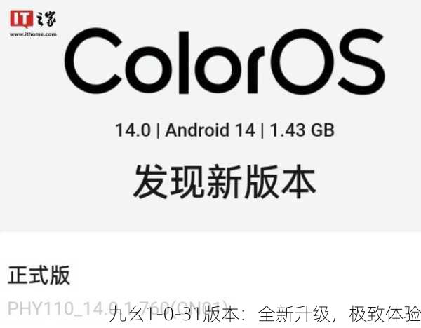 九幺1-0-31版本：全新升级，极致体验