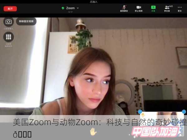 美国Zoom与动物Zoom：科技与自然的奇妙碰撞🌟
