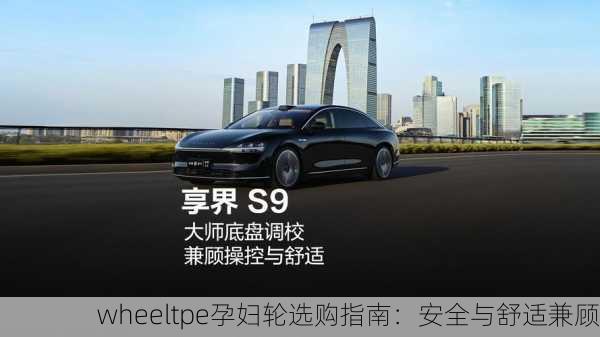 wheeltpe孕妇轮选购指南：安全与舒适兼顾