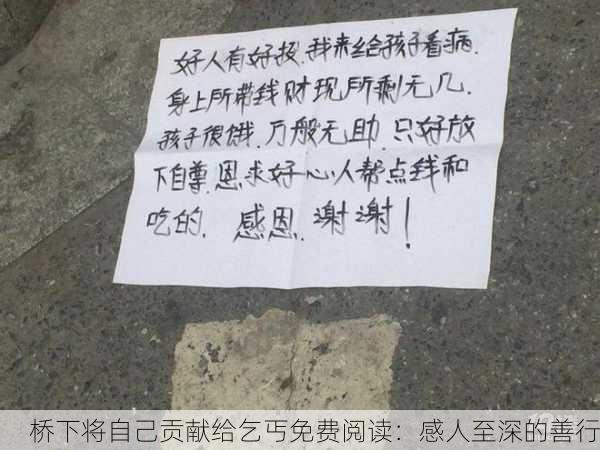 桥下将自己贡献给乞丐免费阅读：感人至深的善行