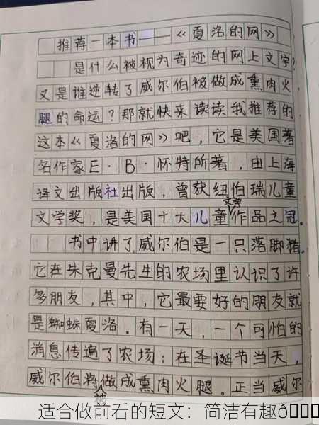 适合做前看的短文：简洁有趣📖
