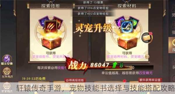 轩辕传奇手游，宠物技能书选择与技能搭配攻略