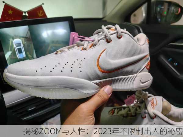 揭秘ZOOM与人性：2023年不限制出入的秘密