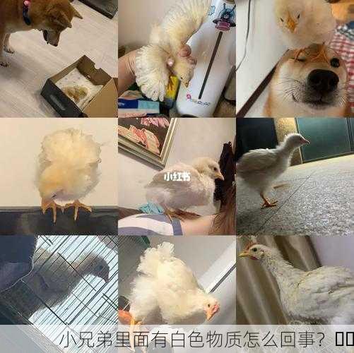 小兄弟里面有白色物质怎么回事？⚠️