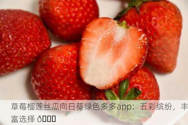 草莓榴莲丝瓜向日葵绿色多多app：五彩缤纷，丰富选择 🌈