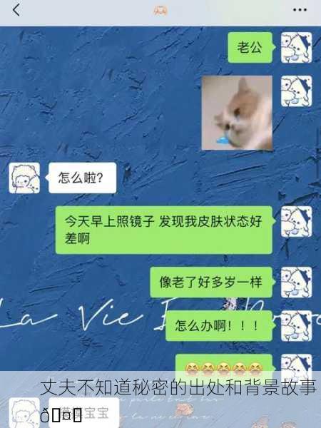 丈夫不知道秘密的出处和背景故事 🤔