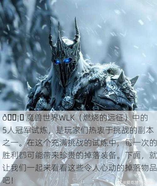 🛡️ 魔兽世界WLK（燃烧的远征）中的5人冠军试炼，是玩家们热衷于挑战的副本之一。在这个充满挑战的试炼中，每一次的胜利都可能带来珍贵的掉落装备。下面，就让我们一起来看看这些令人心动的掉落物品吧！