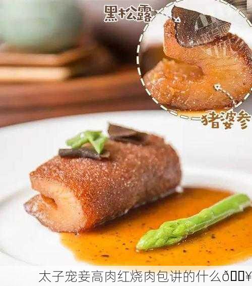 太子宠妾高肉红烧肉包讲的什么🔥
