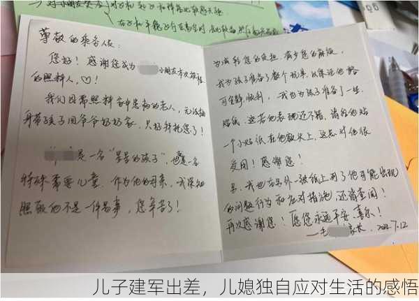 儿子建军出差，儿媳独自应对生活的感悟