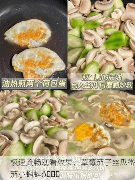 极速流畅观看效果，草莓茄子丝瓜番茄小蝌蚪🍓