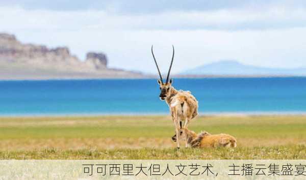 可可西里大但人文艺术，主播云集盛宴