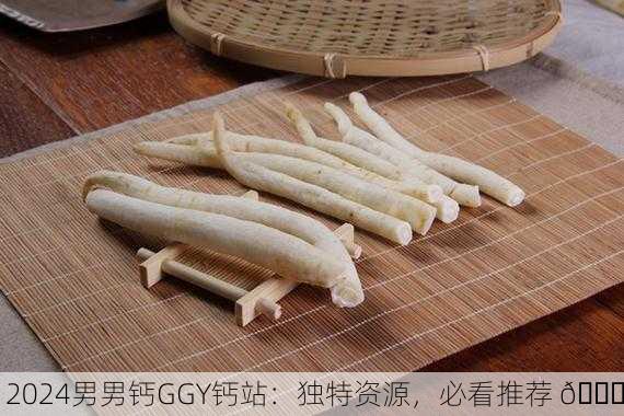 2024男男钙GGY钙站：独特资源，必看推荐 📌