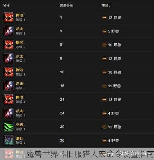 魔兽世界怀旧服猎人宏命令设置指南