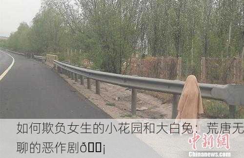 如何欺负女生的小花园和大白兔：荒唐无聊的恶作剧😡