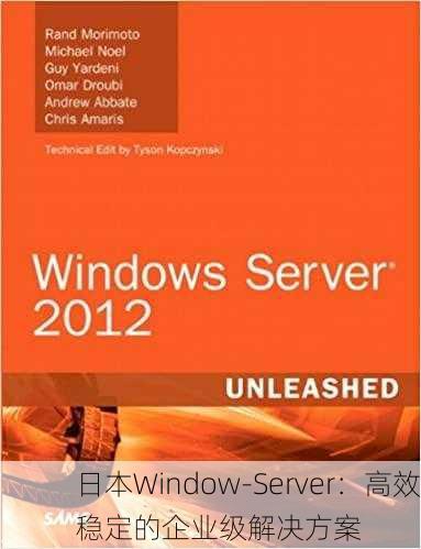 日本Window-Server：高效稳定的企业级解决方案