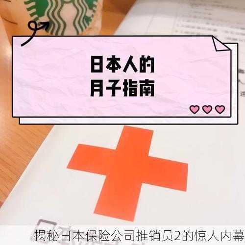 揭秘日本保险公司推销员2的惊人内幕