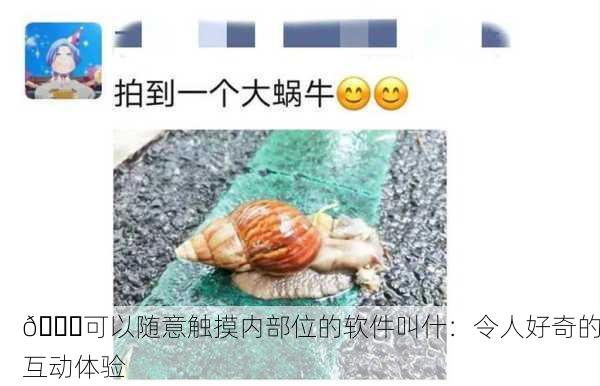 🔍可以随意触摸内部位的软件叫什：令人好奇的互动体验
