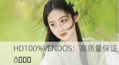 HD100%VENDOS：高质量保证 📈