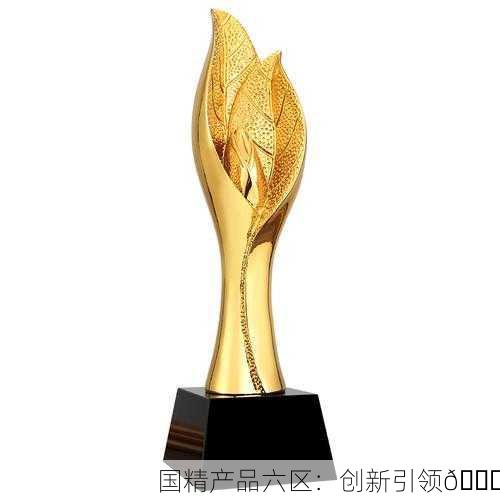 国精产品六区：创新引领🏆