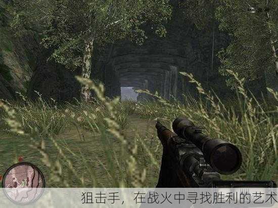 狙击手，在战火中寻找胜利的艺术