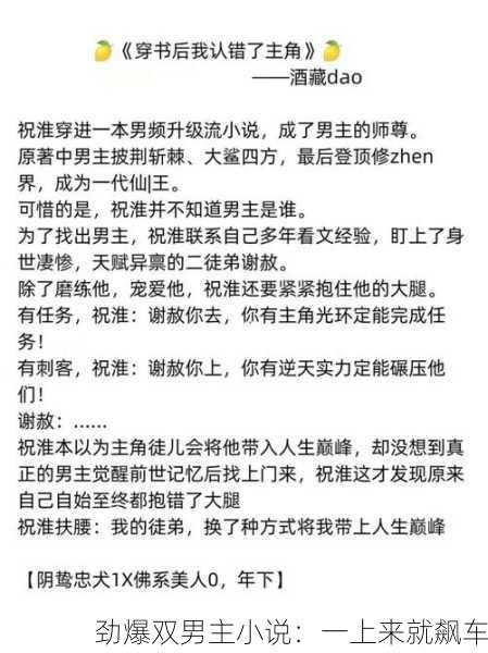 劲爆双男主小说：一上来就飙车