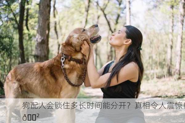 狗配人会锁住多长时间能分开？真相令人震惊！😲