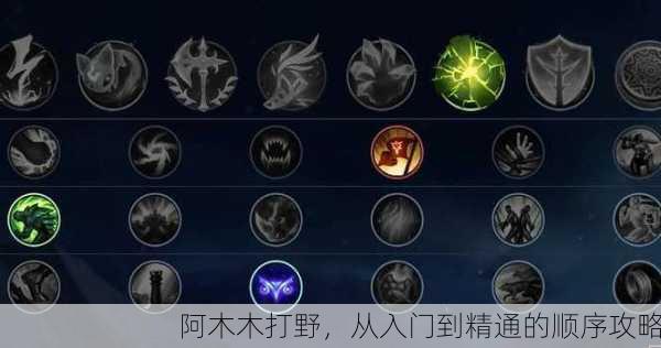 阿木木打野，从入门到精通的顺序攻略