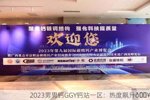 2023男男钙GGY钙站一区：热度飙升🔥